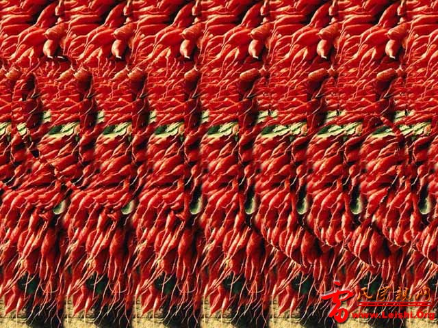 还是三维立体画