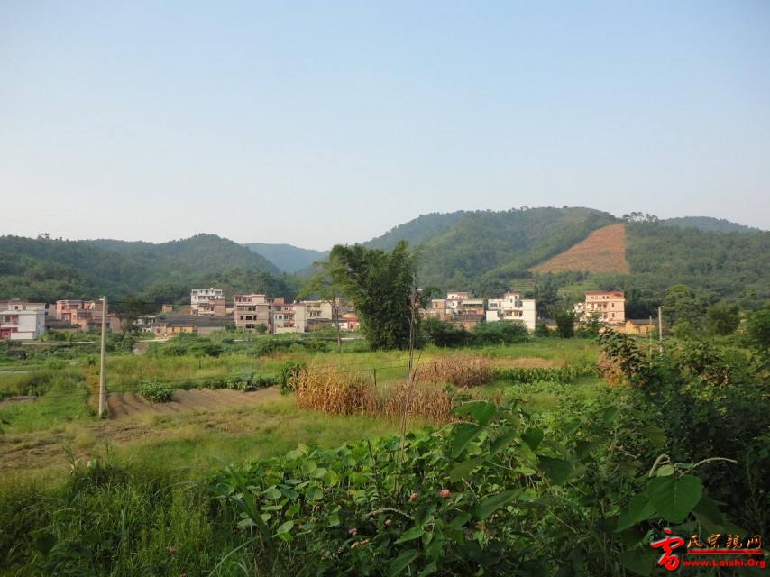 村貌远眺（1)