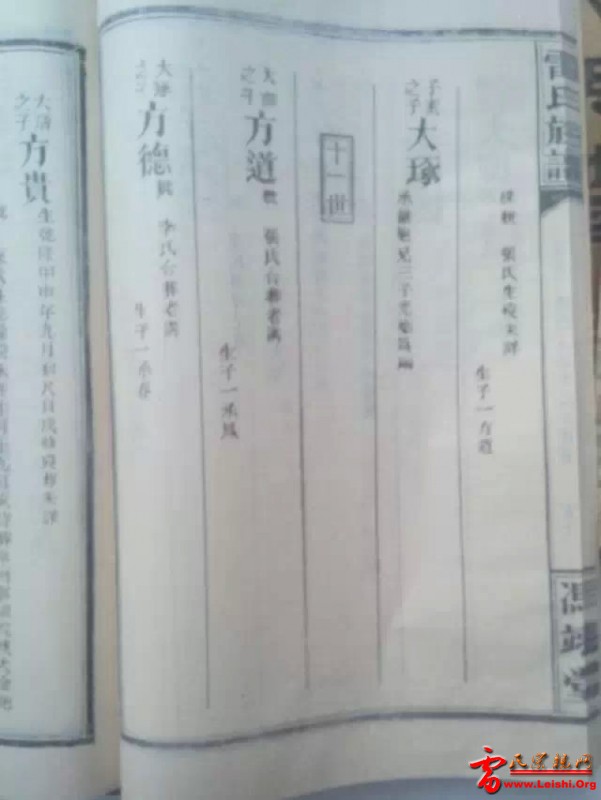 25.jpg