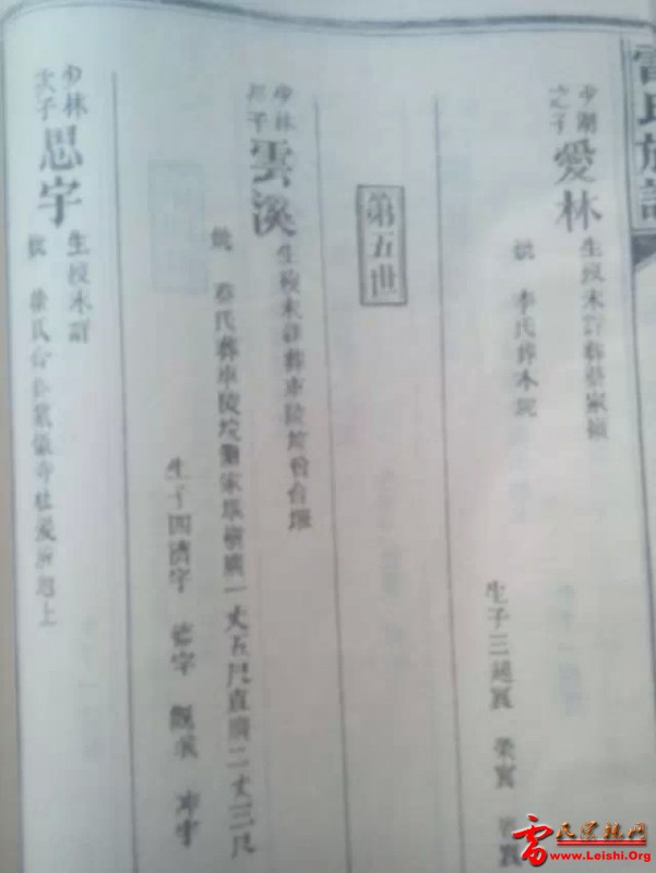 29.jpg