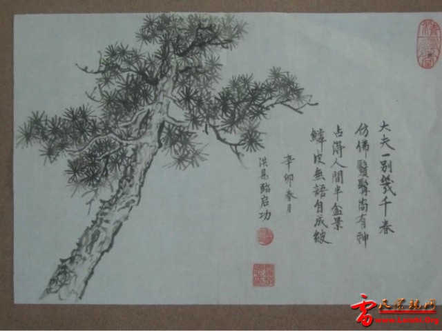 psb7.jpg